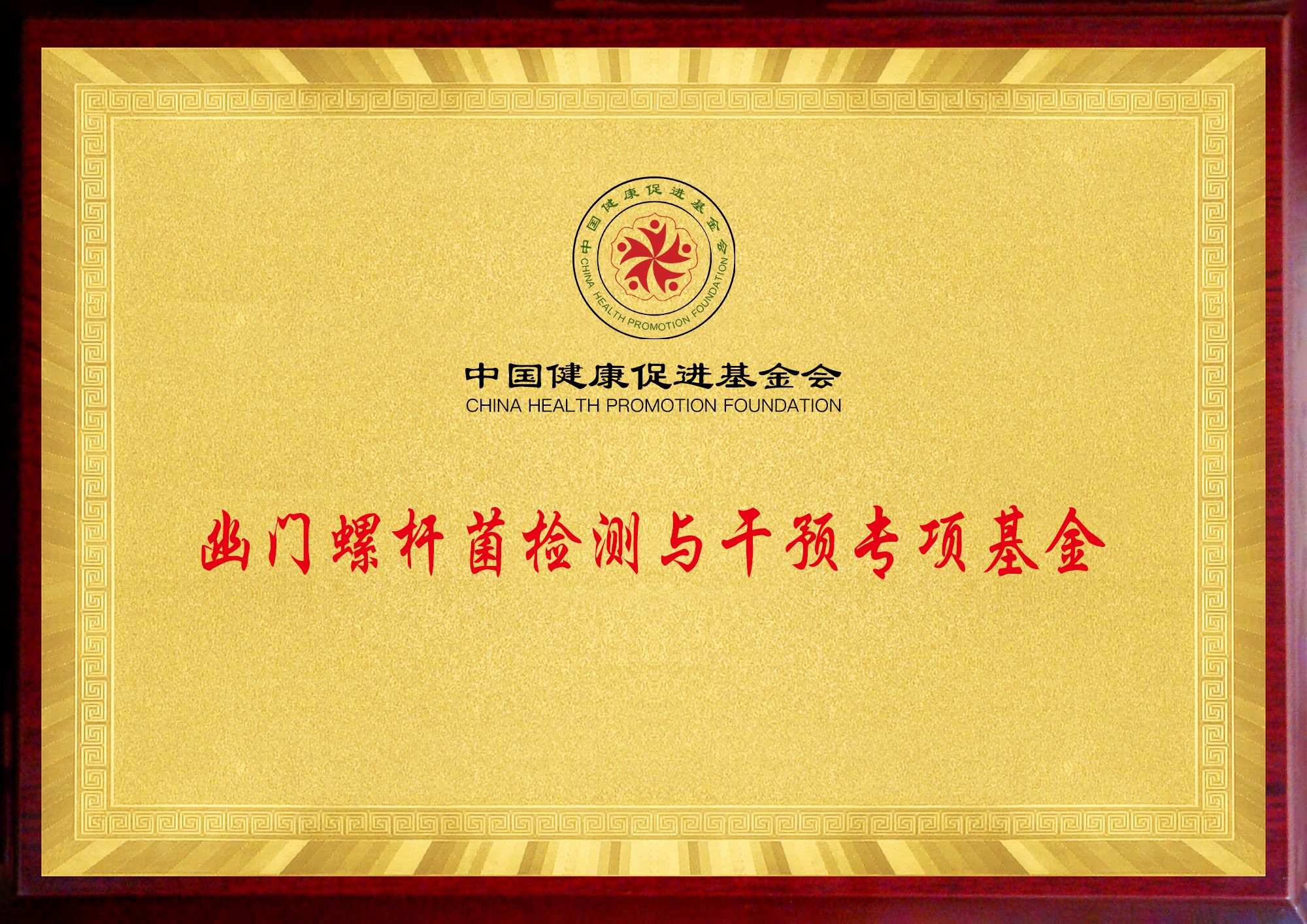 幽门螺杆菌检测与干预专项基金.jpg